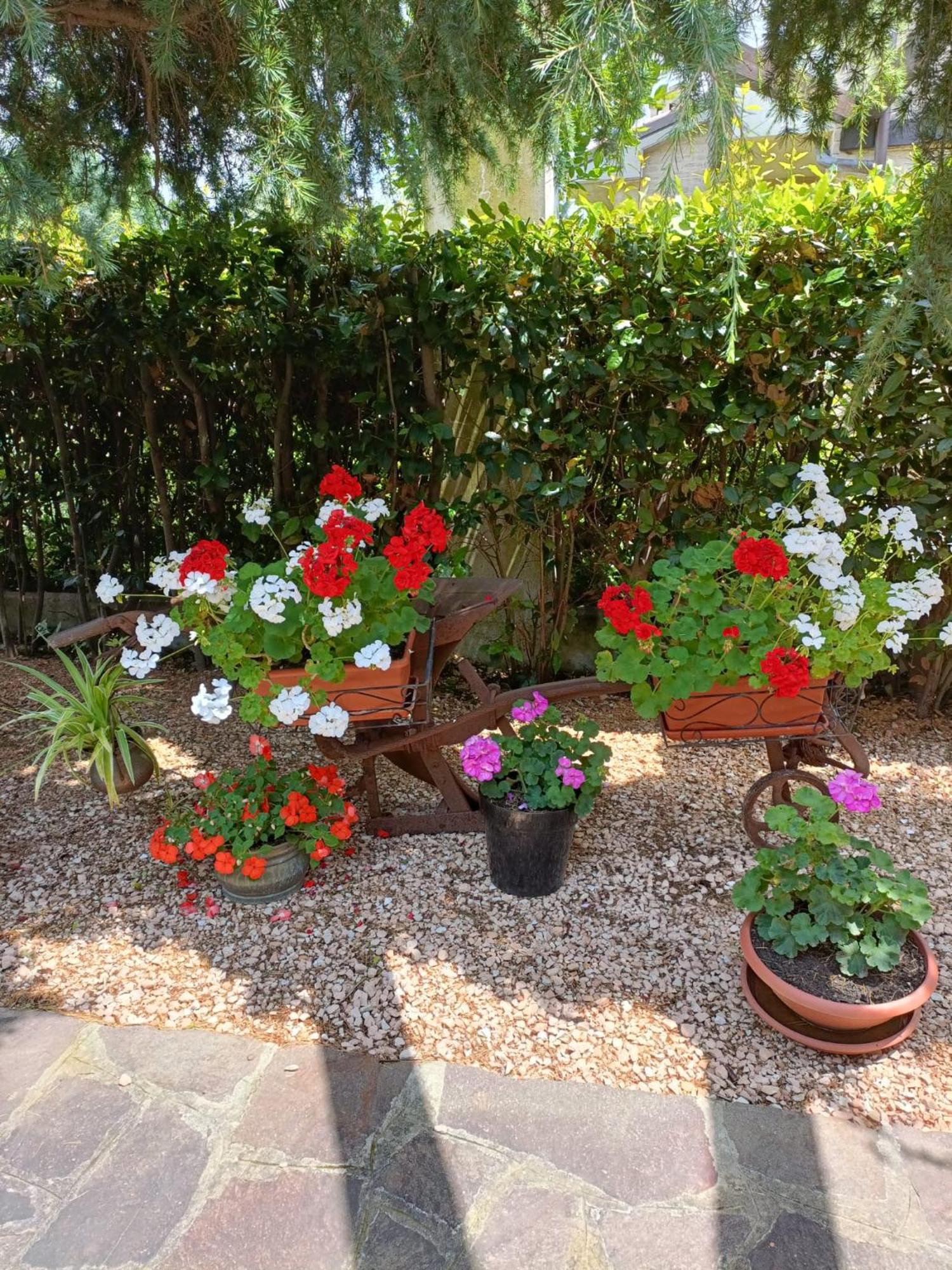 Recanati Family Exterior foto